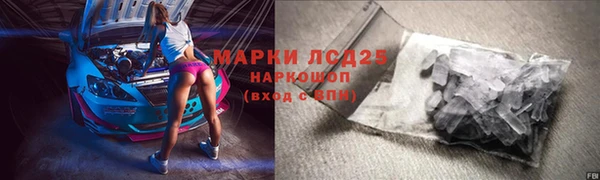 спиды Новозыбков