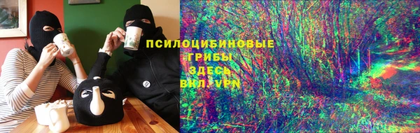 гидропоника Новодвинск