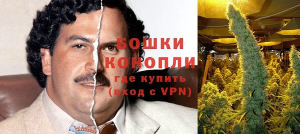 спиды Новозыбков