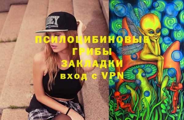 стафф Новокубанск