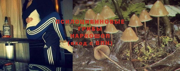 гидра Нефтекумск